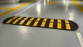 The Impact of Speed Humps on Traffic Safety and Neighborhood Well-being Evaluating the Benefits and Drawbacks